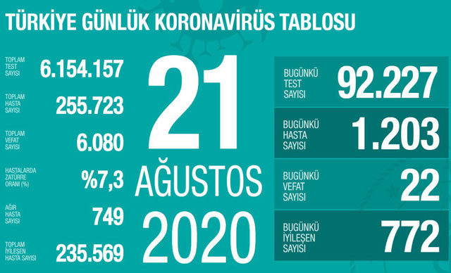 Koronavirüs salgınında can kaybı 6 bin 80'e yükseldi